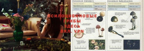 не бодяженный Абинск