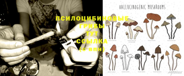 амф Абдулино